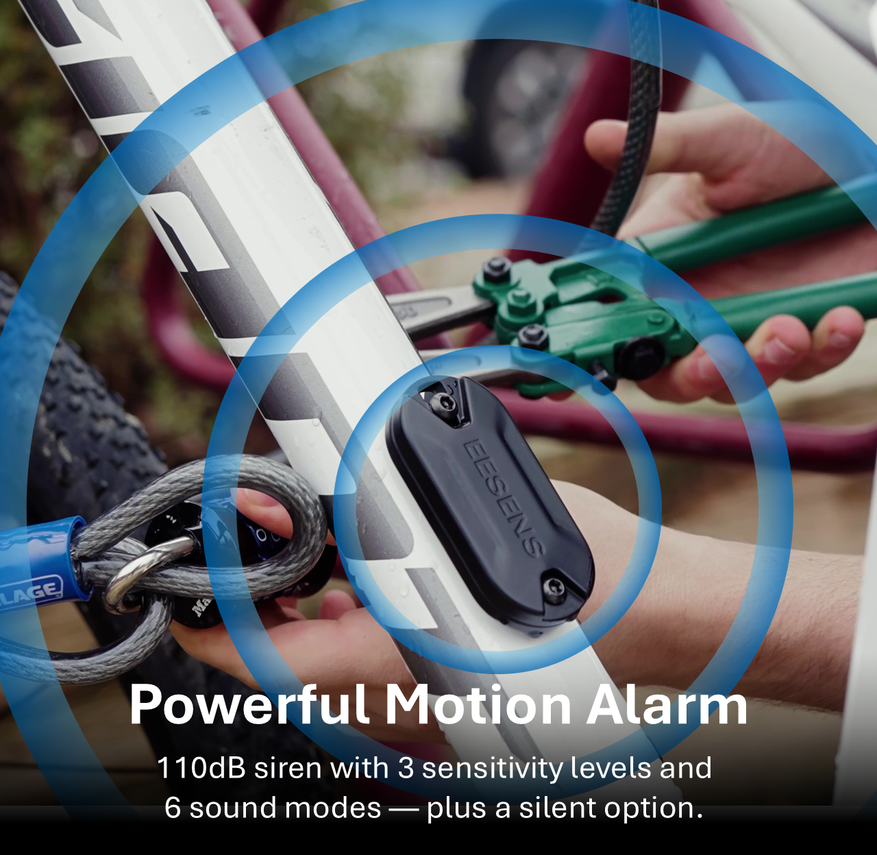 Guardian Alarm System