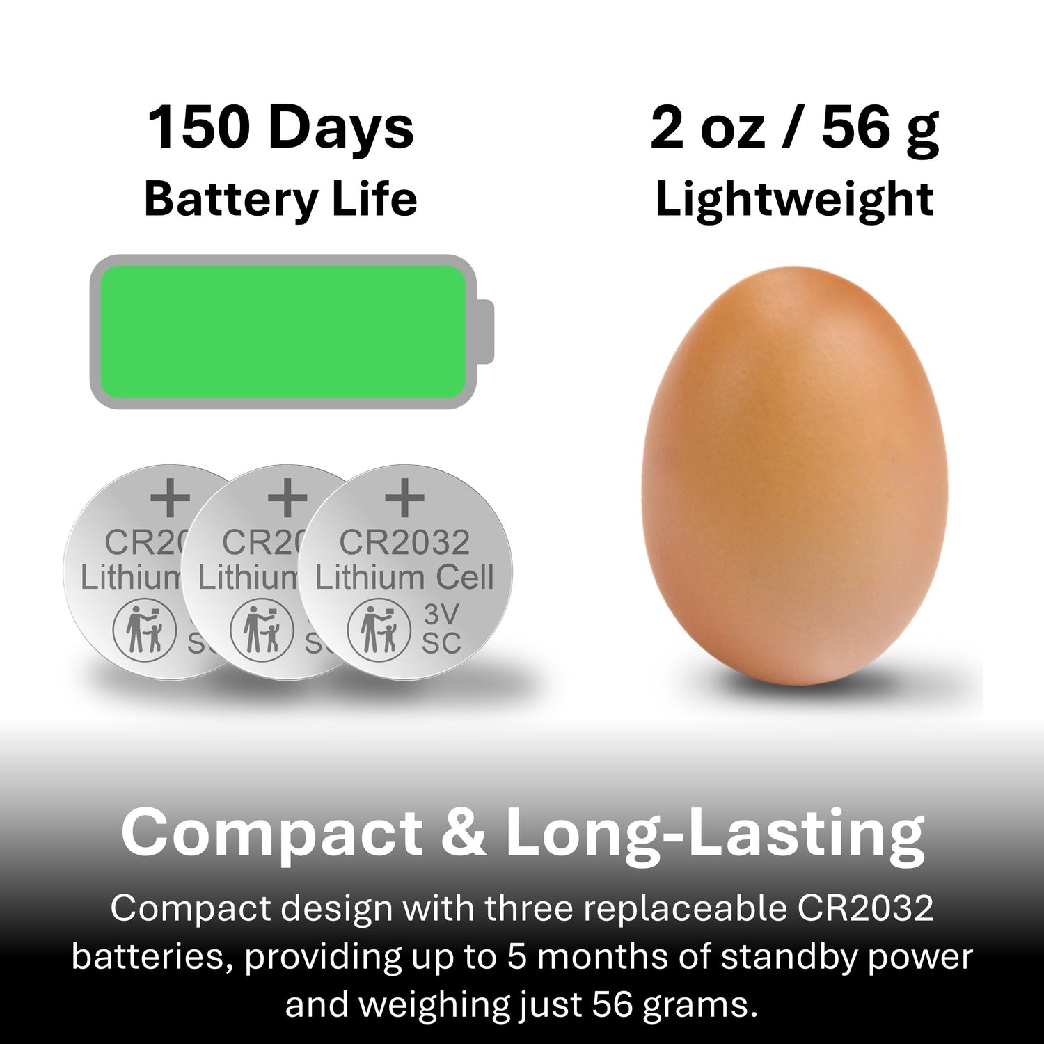 Guardian Alarm System