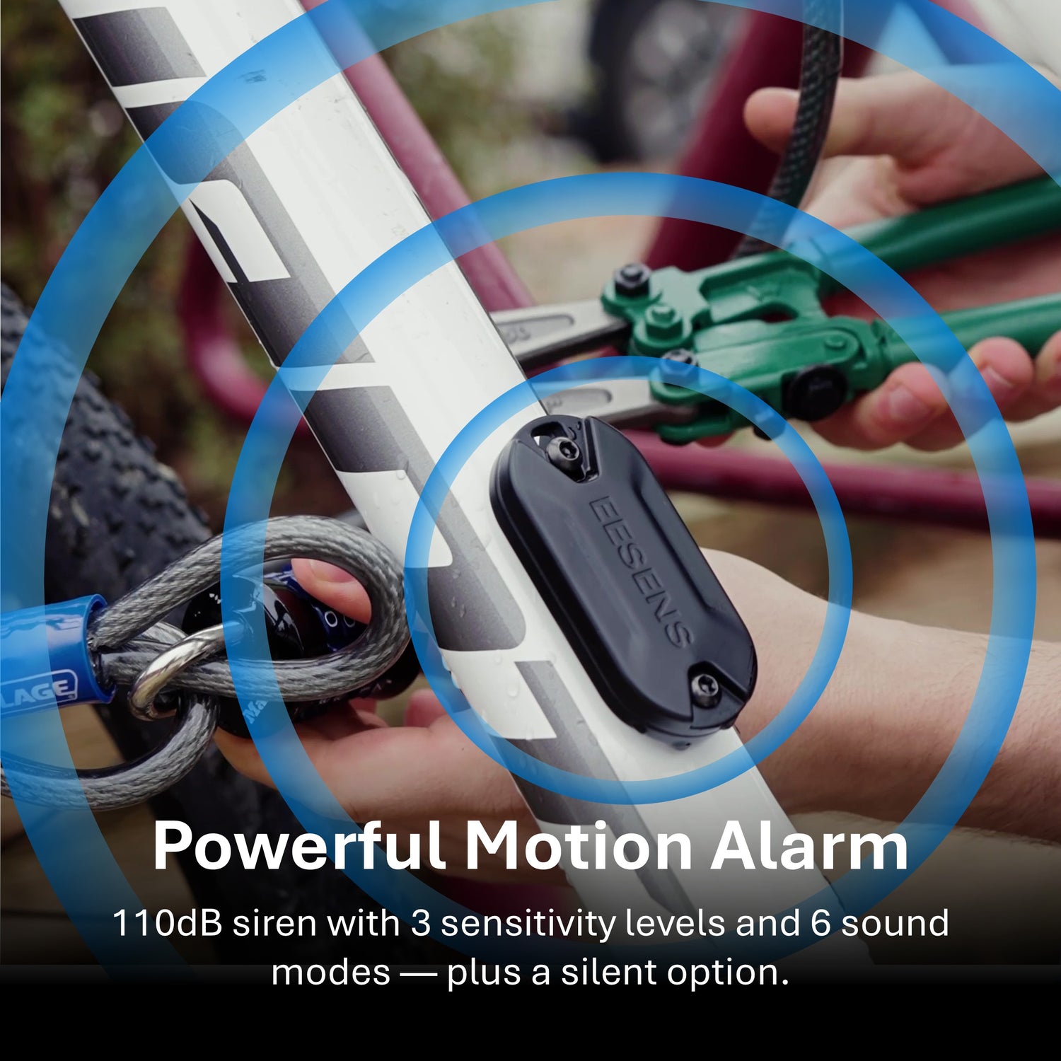 Guardian Alarm System