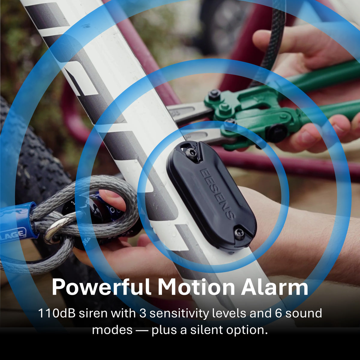 Guardian Alarm System